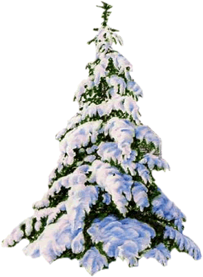 Kerstboom-46.large.gif